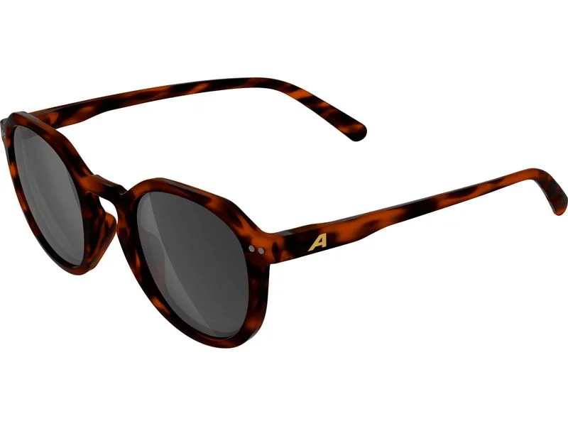 brack-55069620